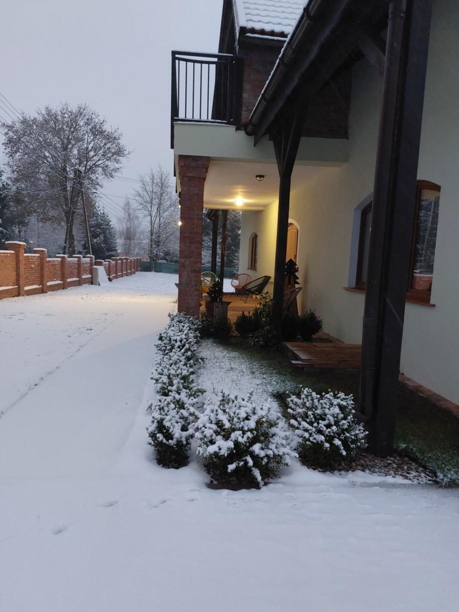Czar Mamry Apartamenty Węgorzewo Exterior foto